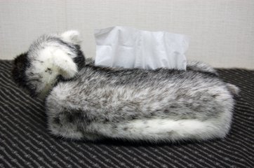 クロスミンク　ベアフェイスティッシュボックスカバー画像