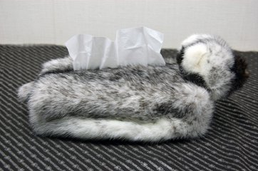 クロスミンク　ベアフェイスティッシュボックスカバー画像