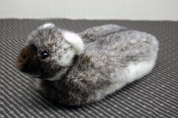 クロスミンク　ベアフェイスティッシュボックスカバー画像