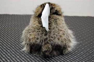 リンクスキャット　ベアフェイスティッシュボックスカバー画像