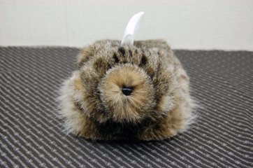 リンクスキャット　ベアフェイスティッシュボックスカバー画像