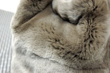 レッキス　ギャザーハンドルバケットバッグ画像