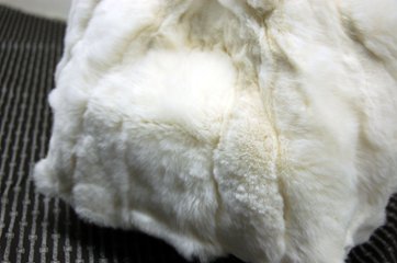 レッキス　ミニトートバッグ画像