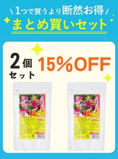 【秋キャン】 春ウコン粒（2200粒）2個セット 【15%OFF】画像