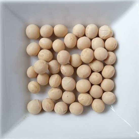 大豆（長谷川商店　200g・500g・1kg・2kg）画像