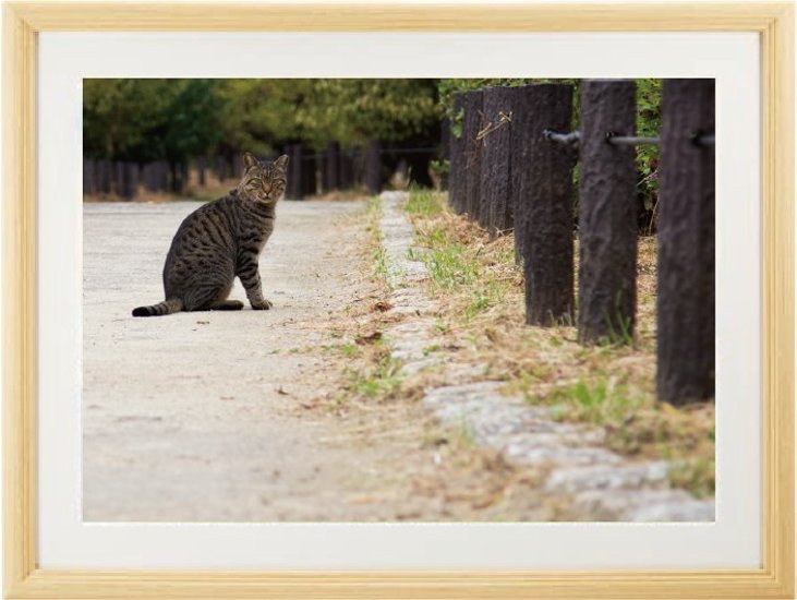 めぐり逢うって（酸素をはこぶ写真・A３サイズ）画像