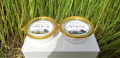 あさぎりシェーブル　ソフトチーズ　150g×2ｐの画像