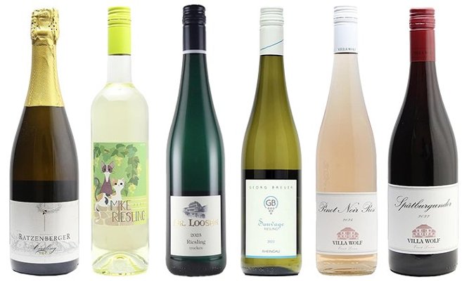 世界遺産の村産から野生の一本まで！第34弾　ドイツ02ワイン6本セットの画像