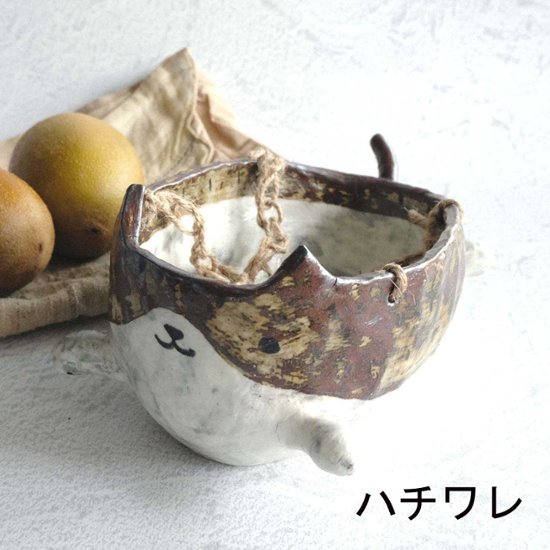 植木鉢画像