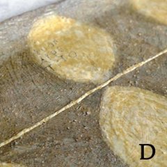 長プレート小画像