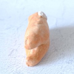 ｃｏｍｏｄｏ族画像