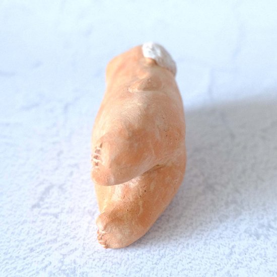 ｃｏｍｏｄｏ族画像