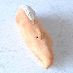 ｃｏｍｏｄｏ族画像