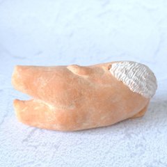 ｃｏｍｏｄｏ族画像