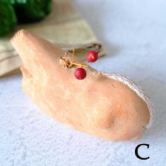 ｃｏｍｏｄｏ族画像