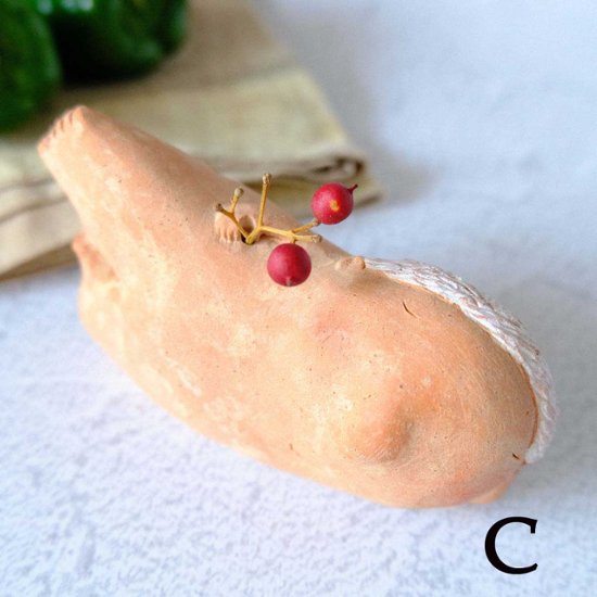 ｃｏｍｏｄｏ族画像