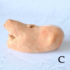 ｃｏｍｏｄｏ族画像