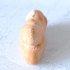 ｃｏｍｏｄｏ族画像