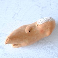 ｃｏｍｏｄｏ族画像