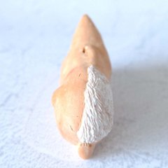 ｃｏｍｏｄｏ族画像