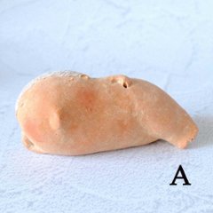 ｃｏｍｏｄｏ族画像