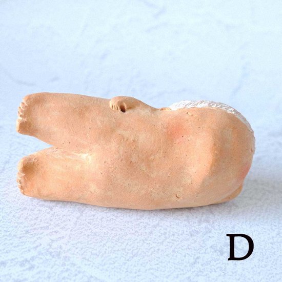 ｃｏｍｏｄｏ族画像