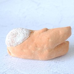 ｃｏｍｏｄｏ族画像