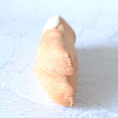 ｃｏｍｏｄｏ族画像