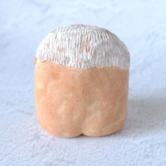 ｃｏｍｏｄｏ族画像