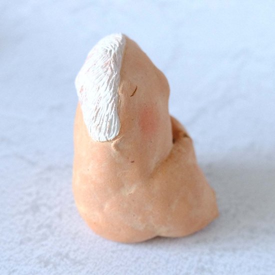 ｃｏｍｏｄｏ族画像