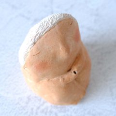 ｃｏｍｏｄｏ族画像