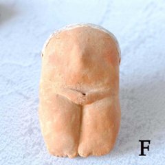 ｃｏｍｏｄｏ族画像