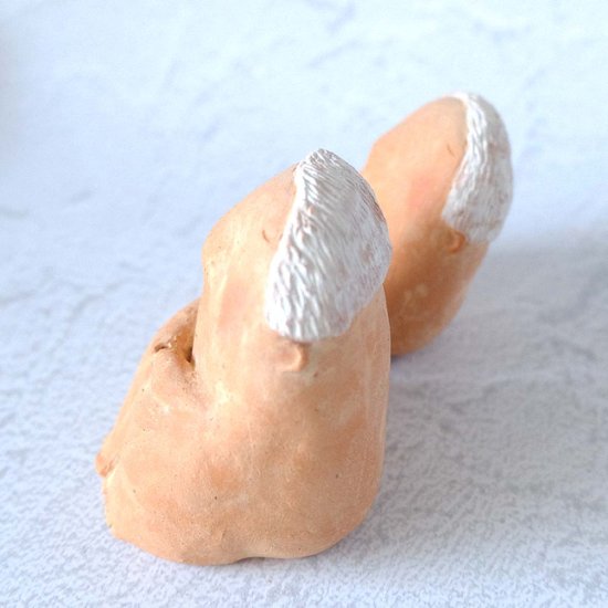 ｃｏｍｏｄｏ族画像