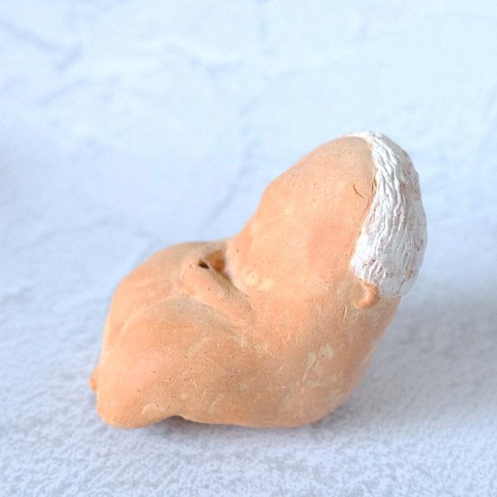 ｃｏｍｏｄｏ族画像