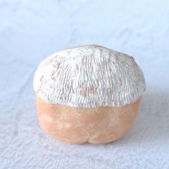 ｃｏｍｏｄｏ族画像