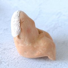 ｃｏｍｏｄｏ族画像