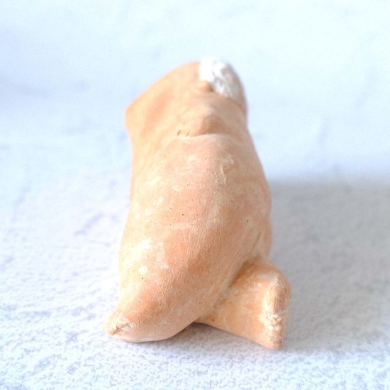 ｃｏｍｏｄｏ族画像