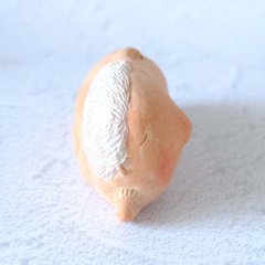 ｃｏｍｏｄｏ族画像