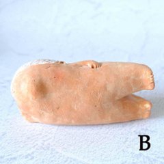 ｃｏｍｏｄｏ族画像