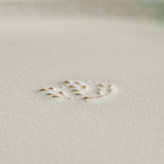 オーバルプレート大画像