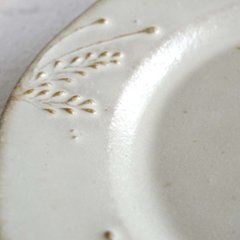 木の実プレート画像