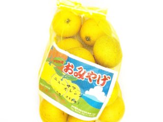 ニューサマーオレンジ早生（１袋）の画像