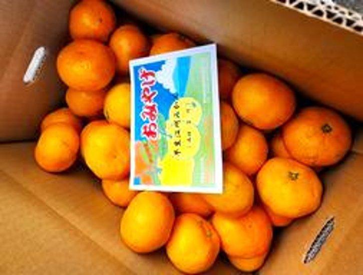 早生温州みかん5ｋｇ箱画像