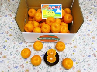 ポンカン5kg箱の画像