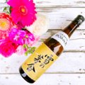 VINSY画像