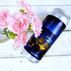 【静岡】限定_ホップストーリーズ_500mlの画像