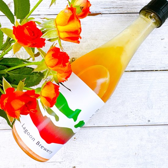 【新潟】SAKEマルゲリータ ドブロク_500ml画像