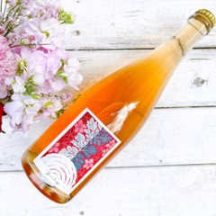 【新潟】花見で一杯2024_750mlの画像