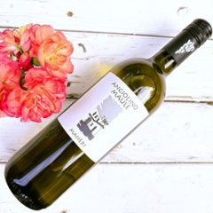 【イタリア】マシェリ 2024 _750mlの画像