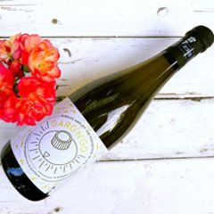 【イタリア】マシェリ 2024 _750mlの画像